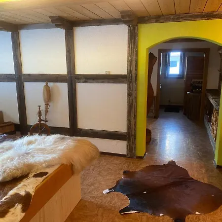 Haus Schnoeller Lägenhet Bach (Tyrol)