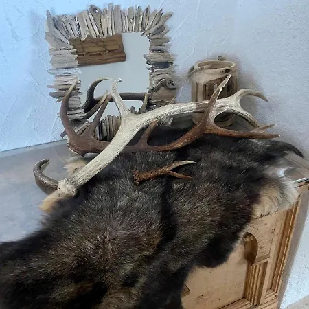 Haus Schnoeller شقة *